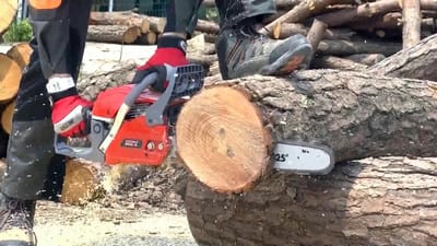 MPT MECS1601 ,16" Electric Chain Saw, 2000W, Model: MECS1601_img_3
